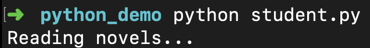 python_encapsulation2